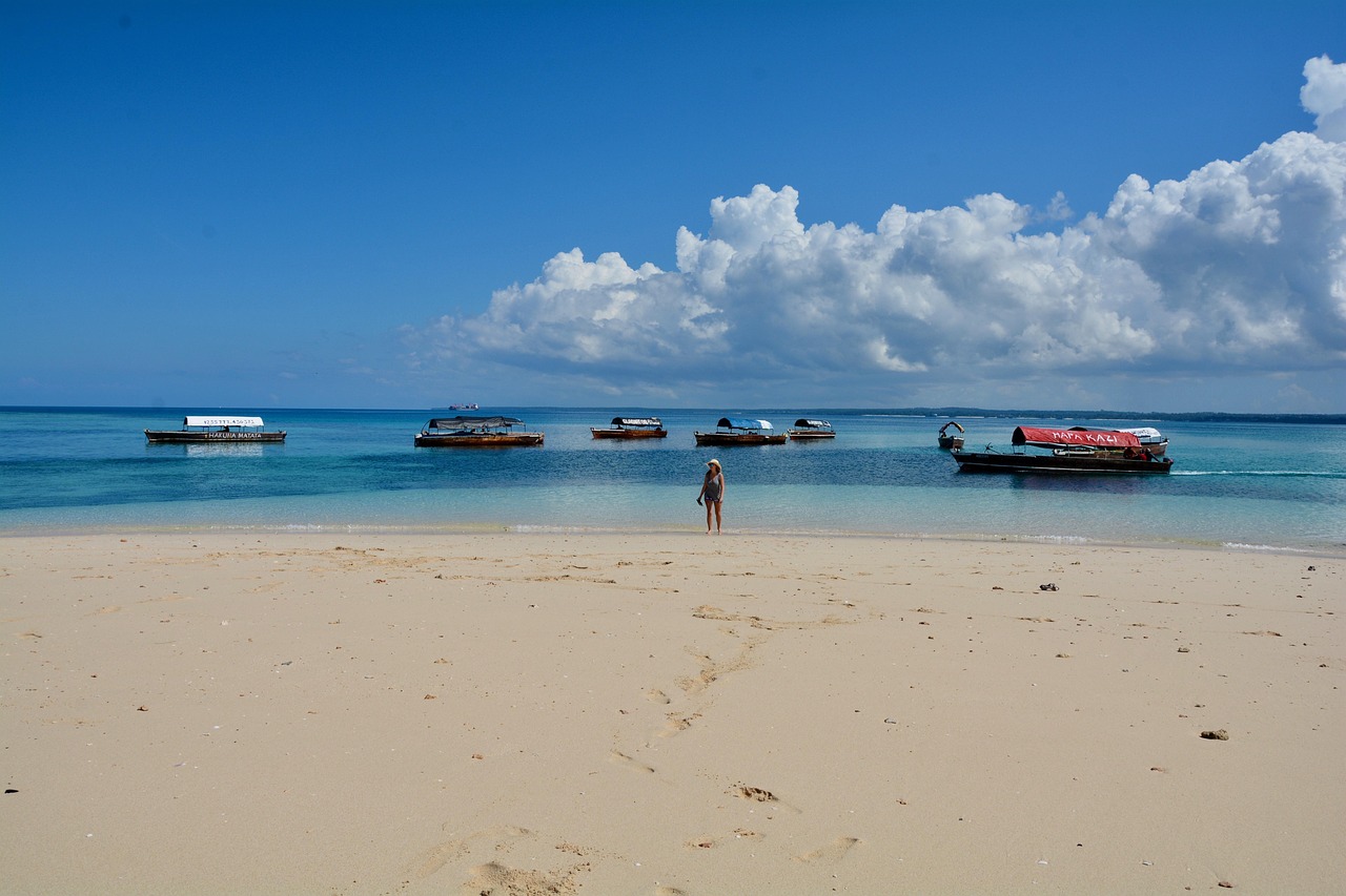 Beach Safaris